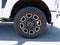 2025 Ford F-250 Platinum