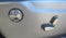2019 Jeep Grand Cherokee Altitude 4x2