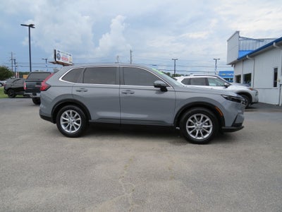 2025 Honda CR-V EX-L 2WD
