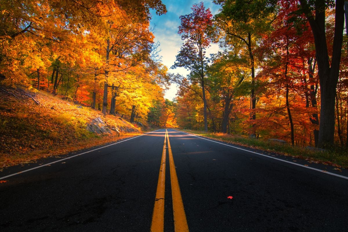 North Carolina fall drives